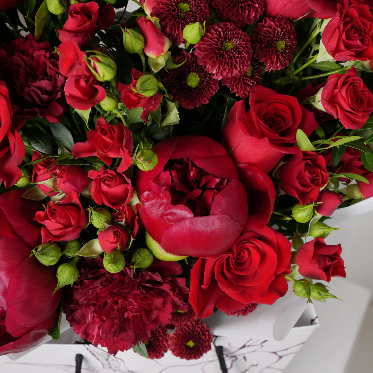 Burgundy Peony