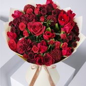 Burgundy Tulips Classic