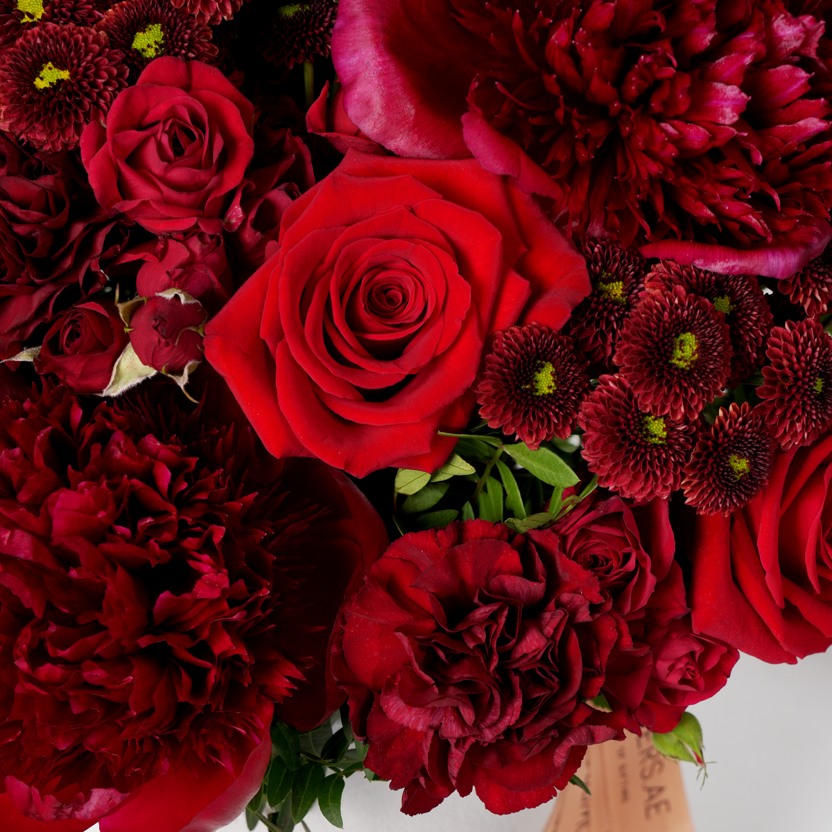 Burgundy Peony Vase