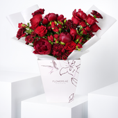 Burgundy Peony