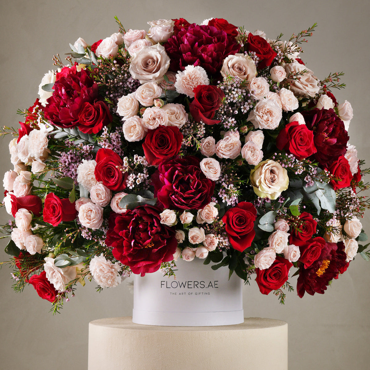 Amara Hatbox