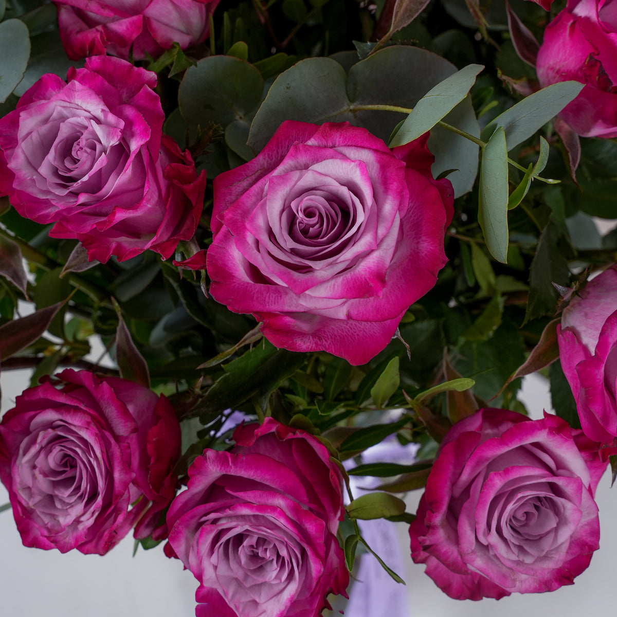 50 Purple Roses - Vase