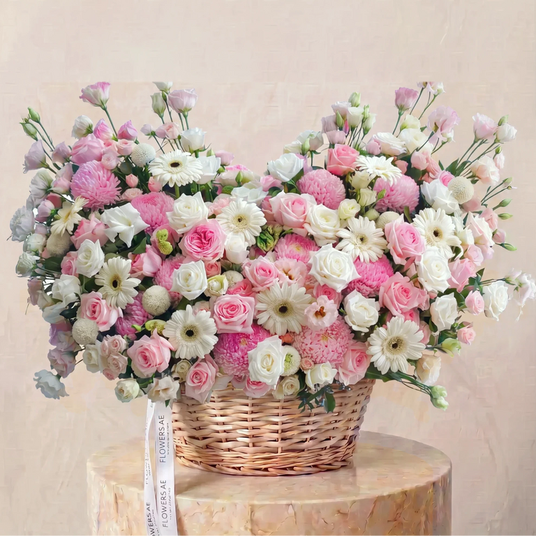 Camille Basket