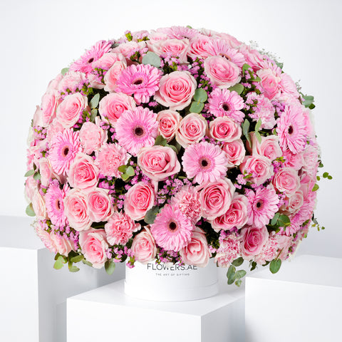 Congratulations Coraline Hatbox