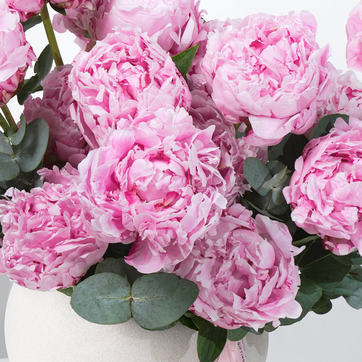 Pure Pink Peony Vase