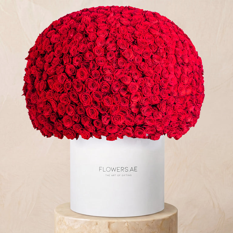 Anniversary 999 Red Roses XXL