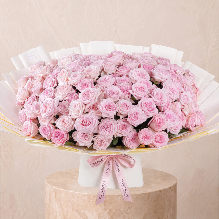 100 Pink O'hara Grand