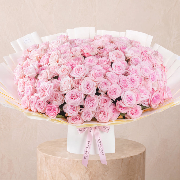 150 Pink O'hara Grand