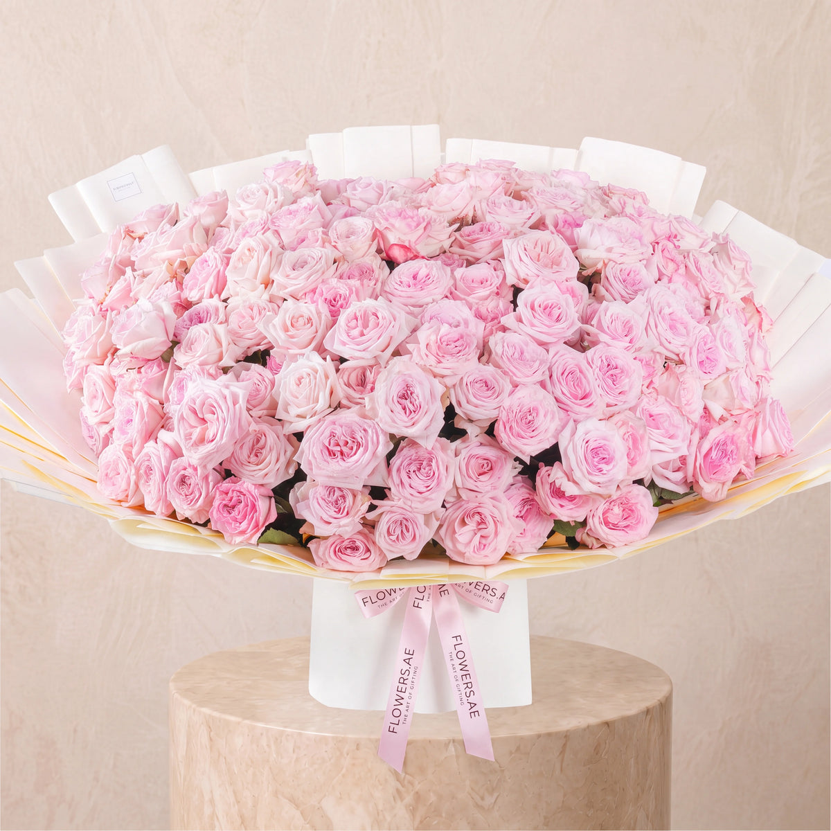 150 Pink O'hara Grand