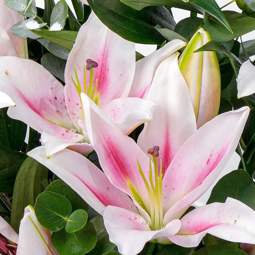 Pink Scented Lily Vase
