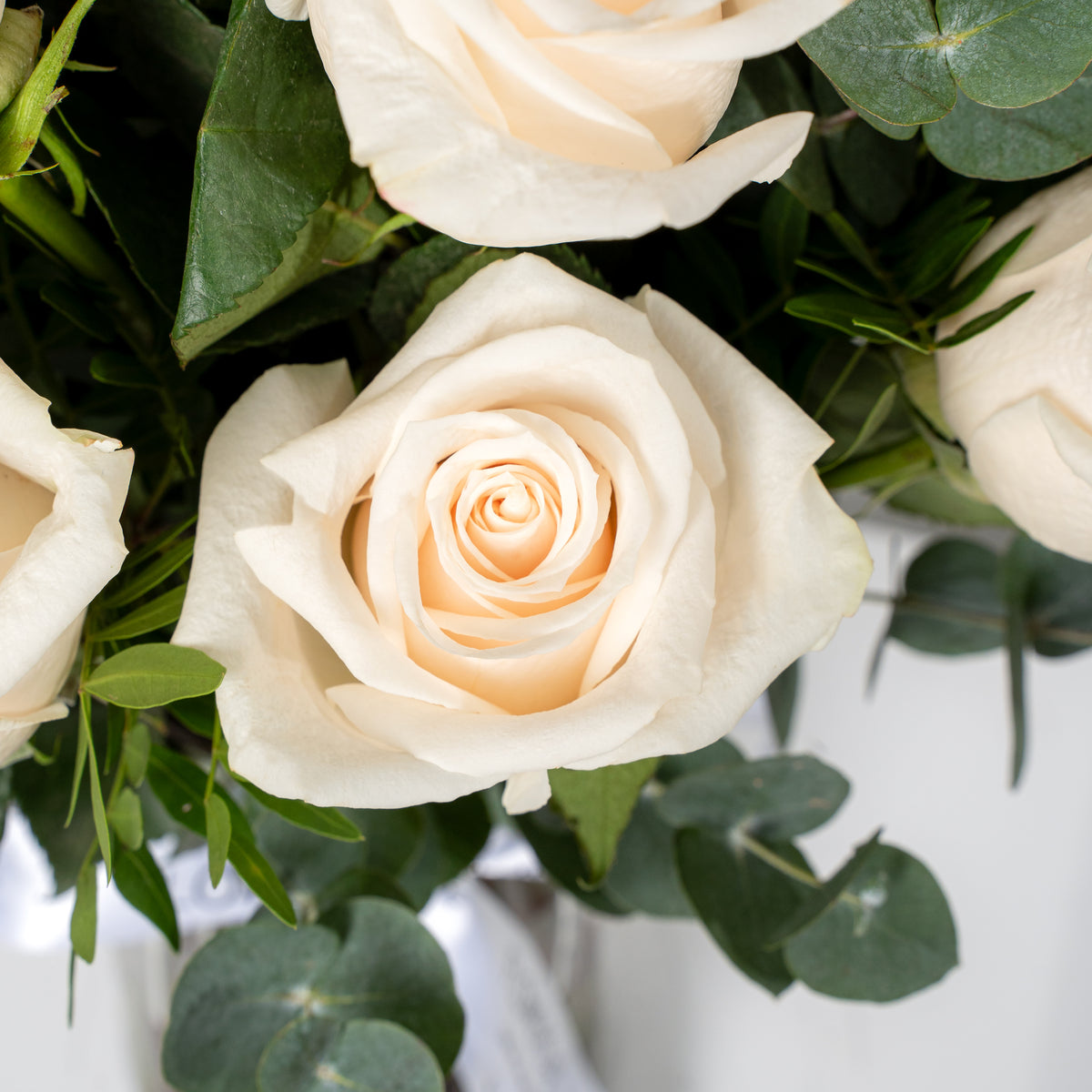 Valentine White Roses with greens - Hatbox