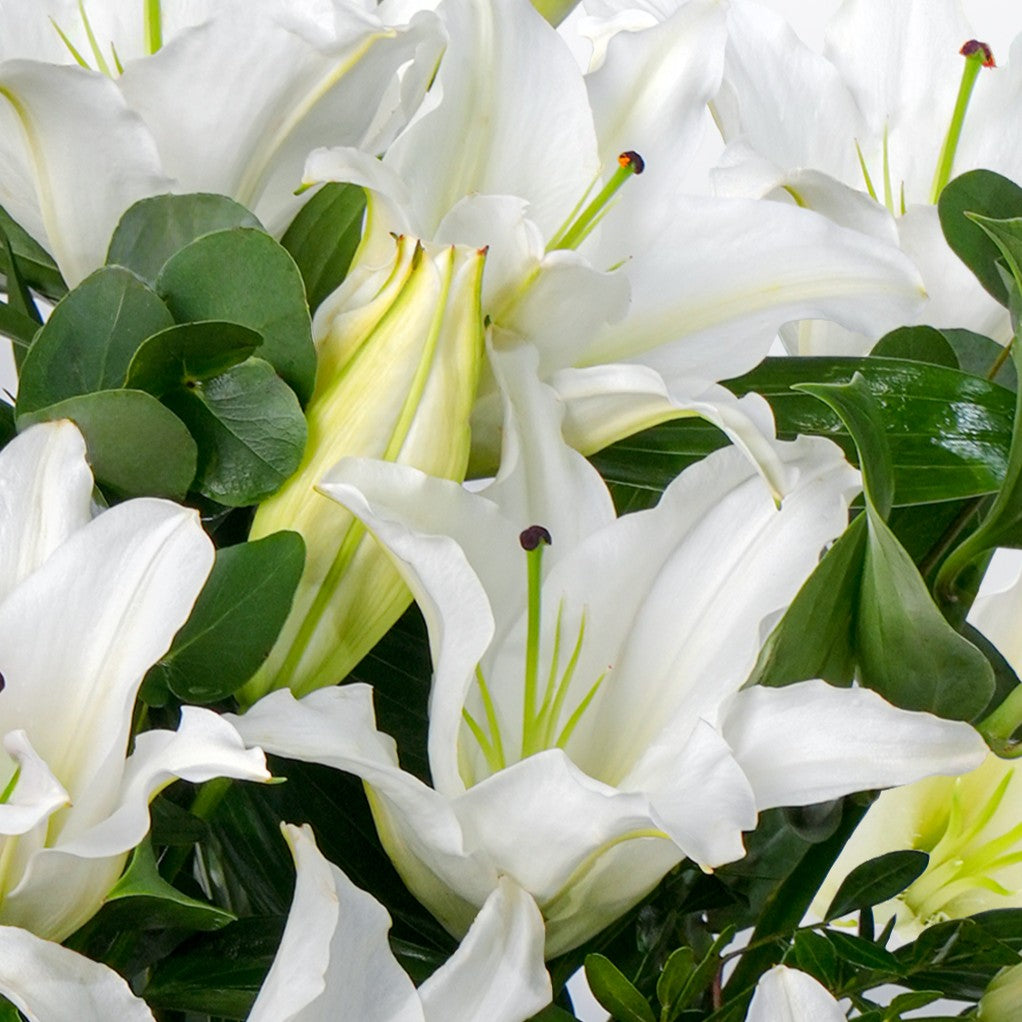 White Scented Lily Vase