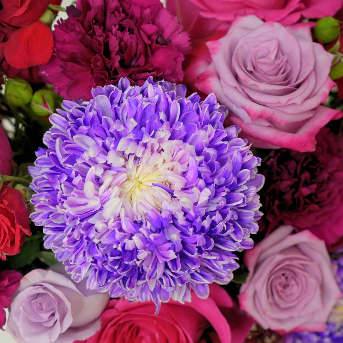 Plum Velvet Vase