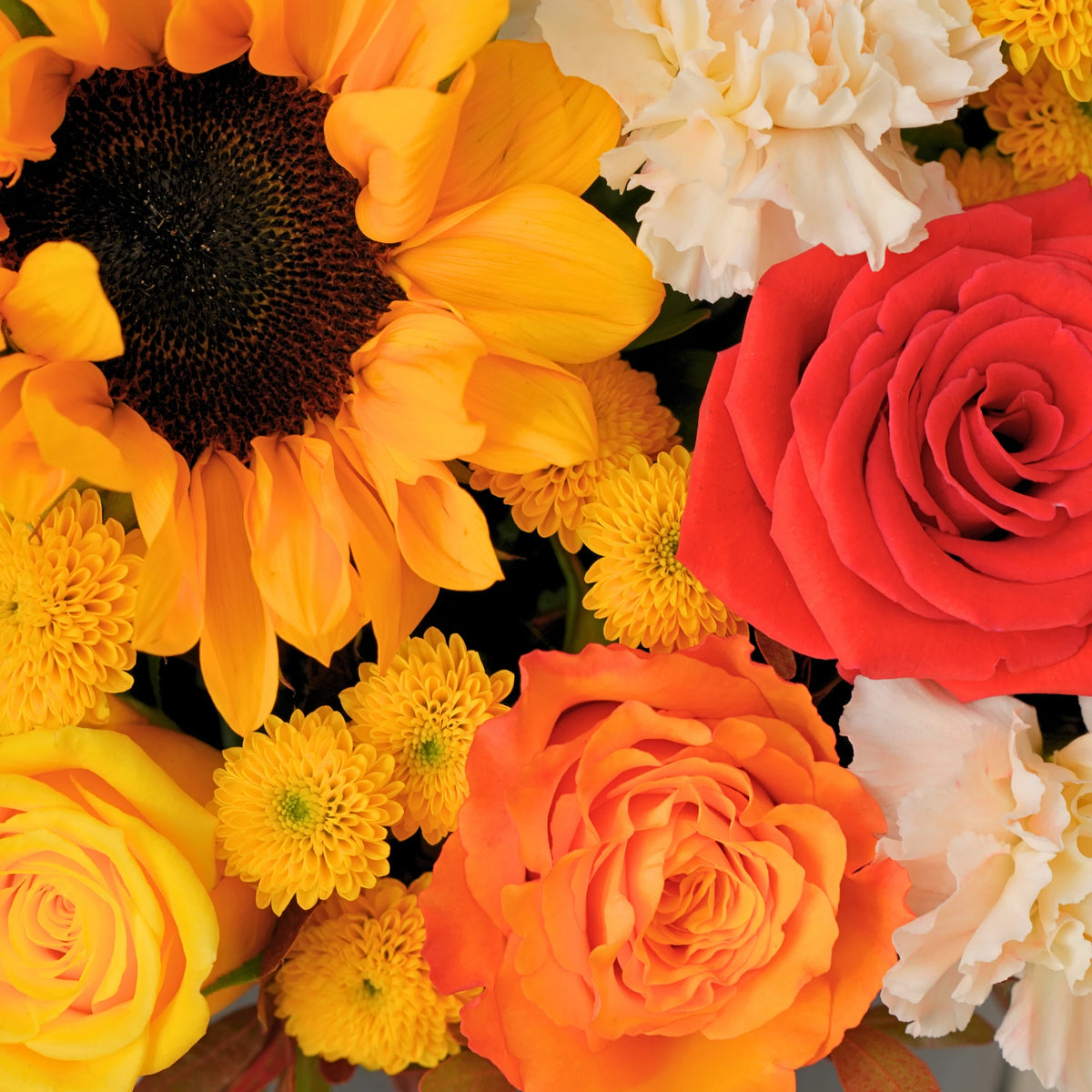 Petite Harvest Glow Hatbox