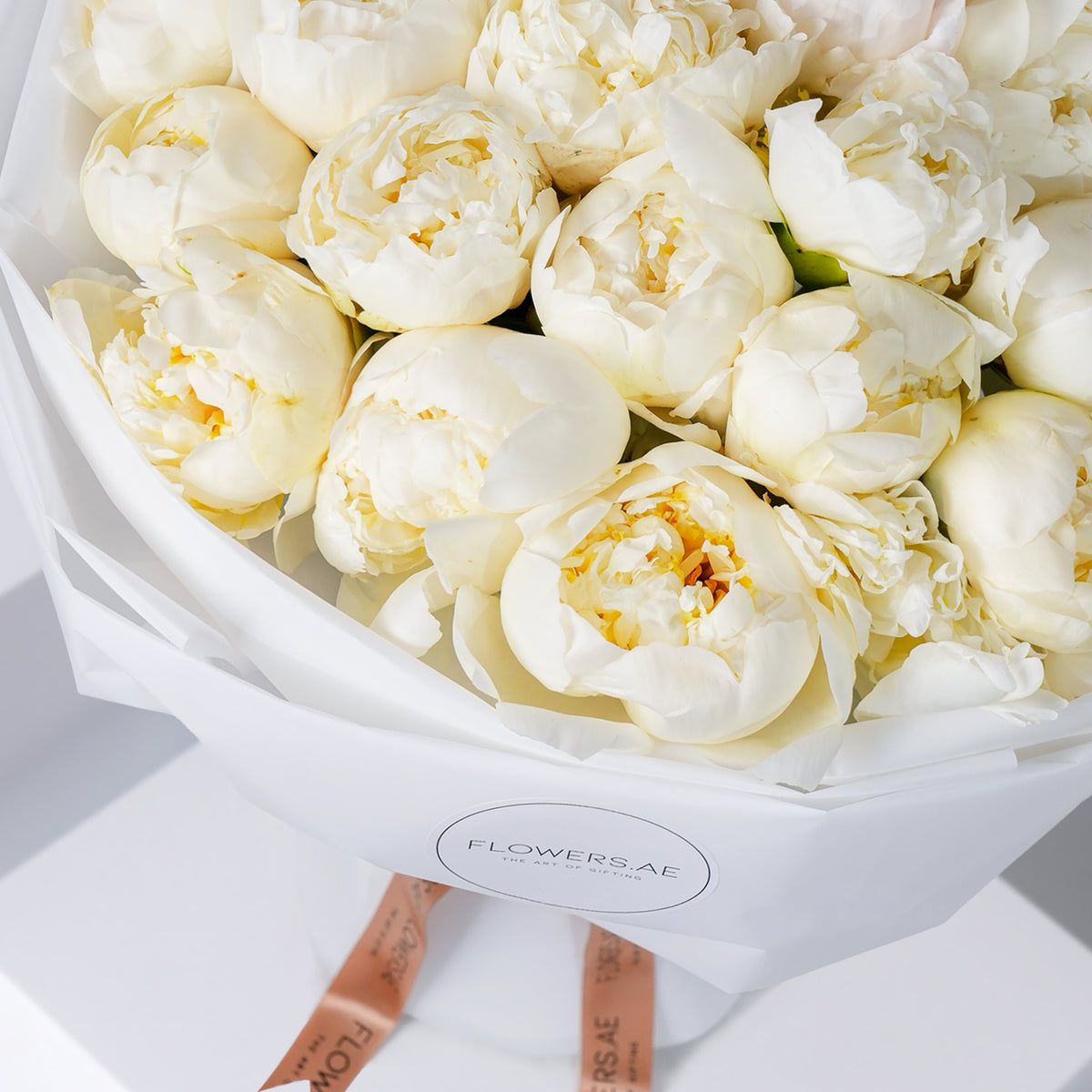 25 Pure White Peony