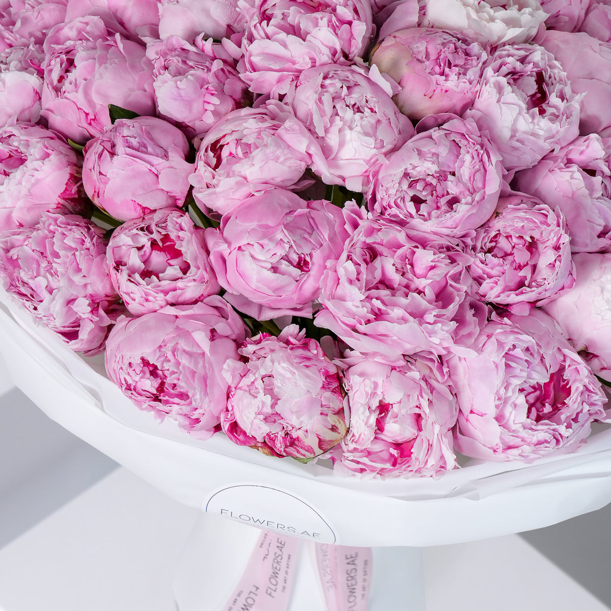50 Pure Pink Peony