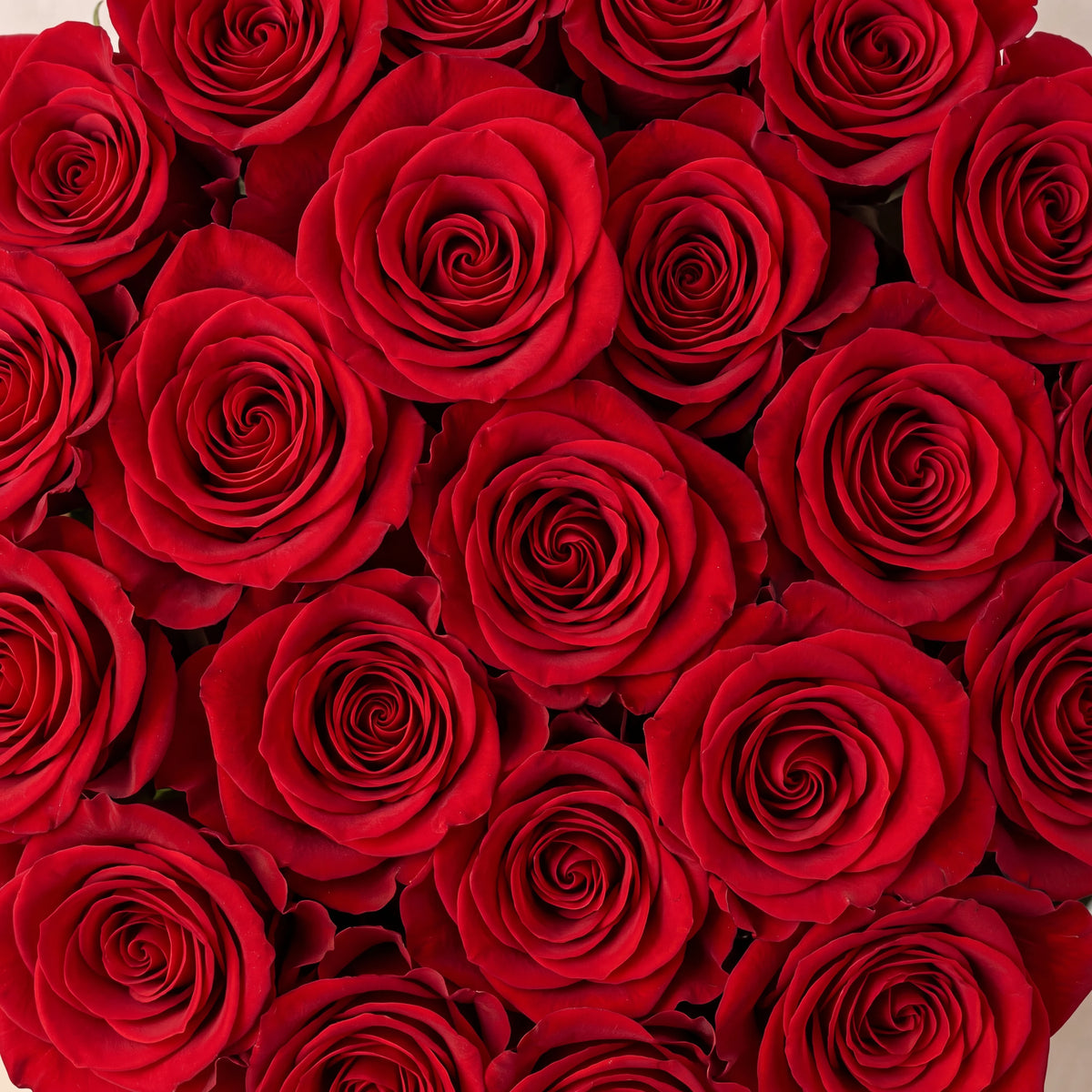 Red Roses Hatbox