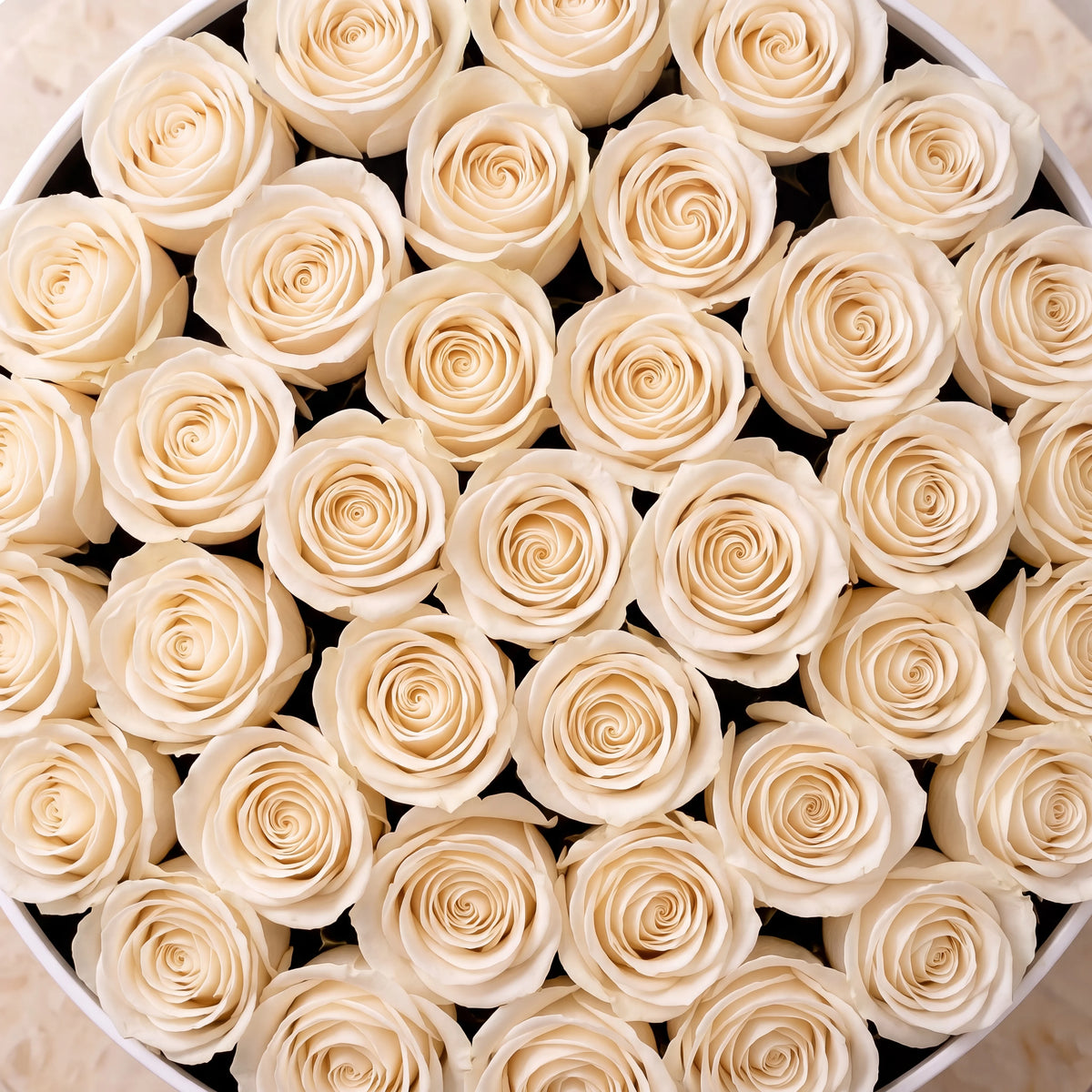 White Roses Hatbox