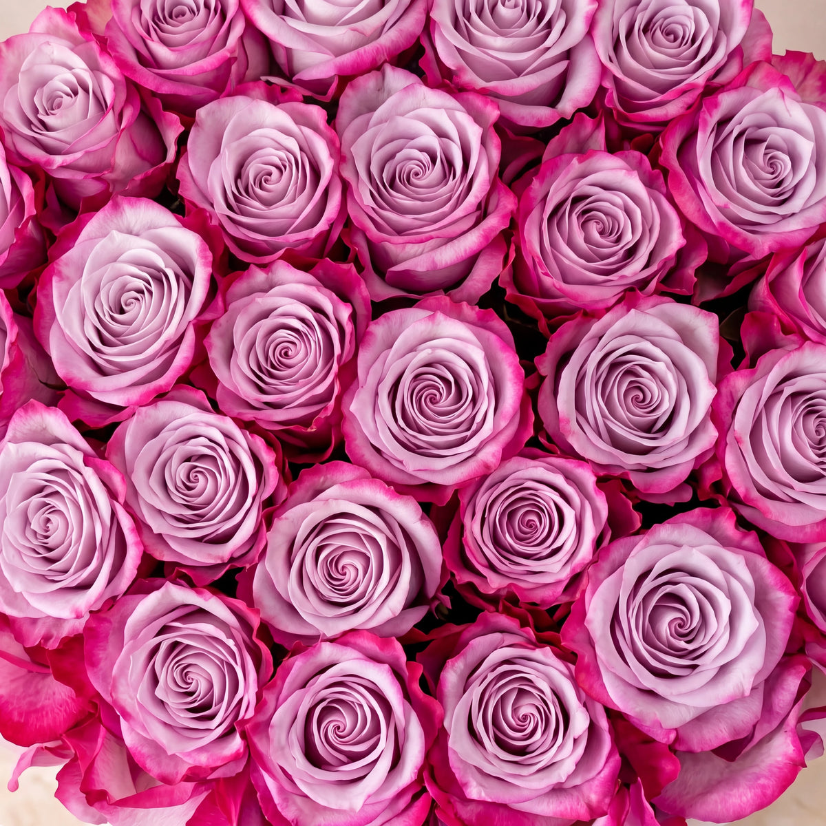 Purple Roses Hatbox