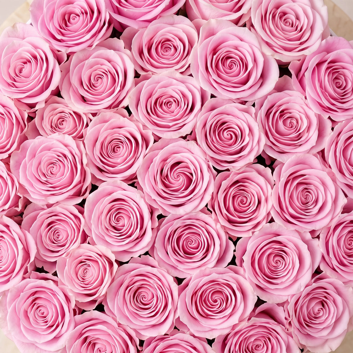 Pink Roses Hatbox