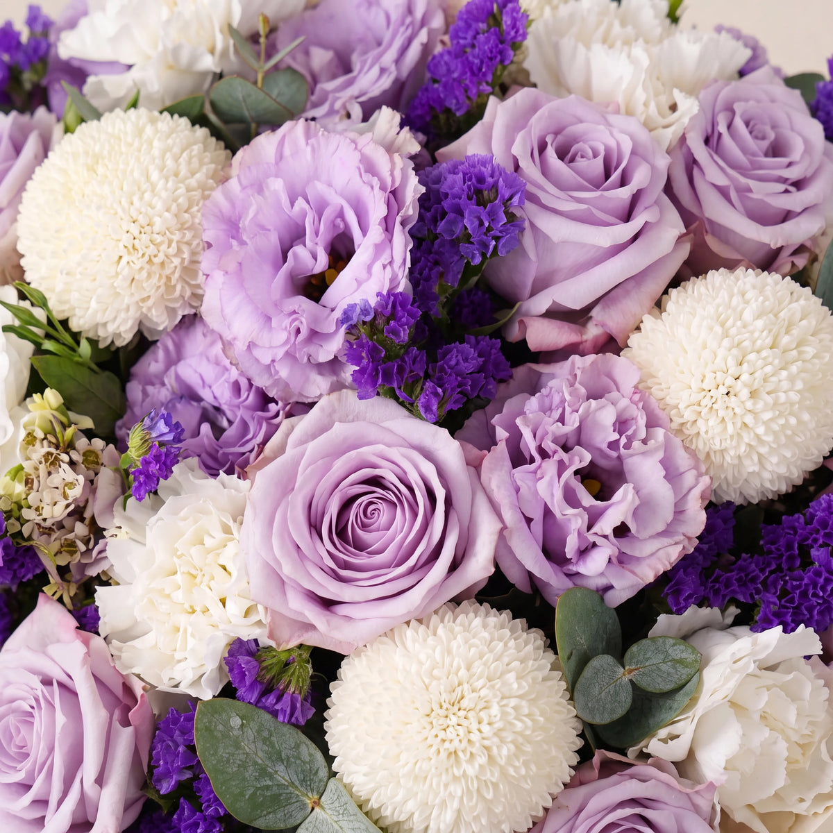 Lilac Classic