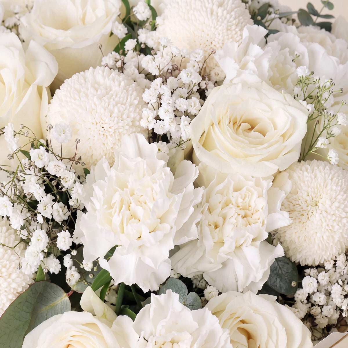 Ivory Classic