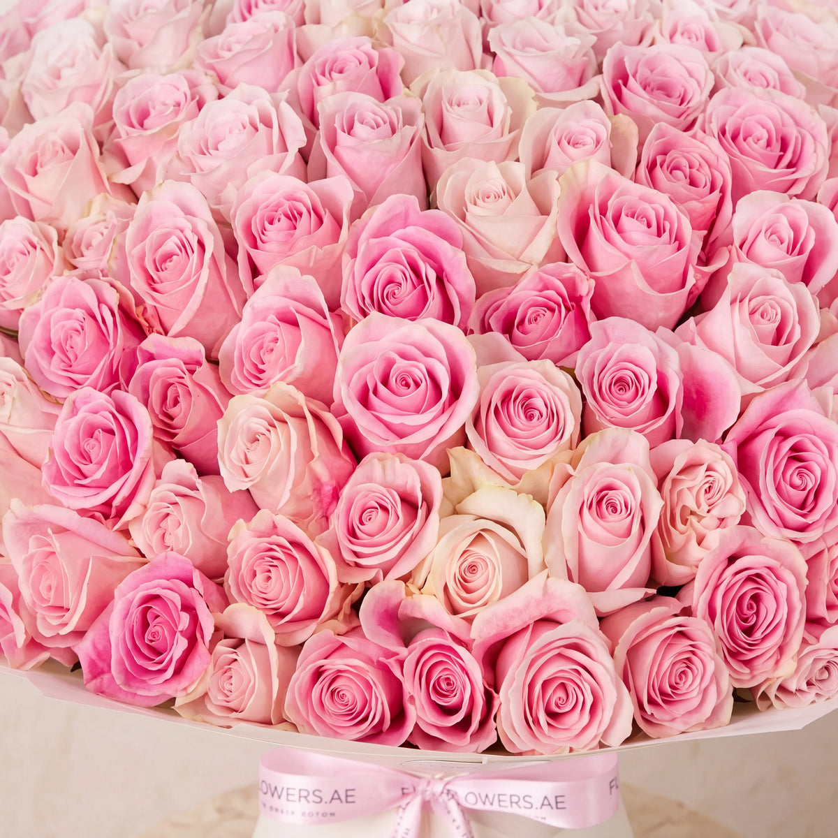 Anniversary 365 Pink Roses