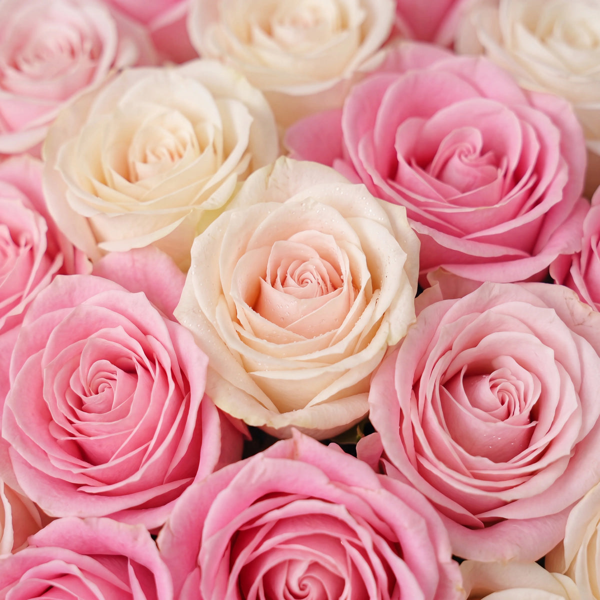 Pink Letter Heart