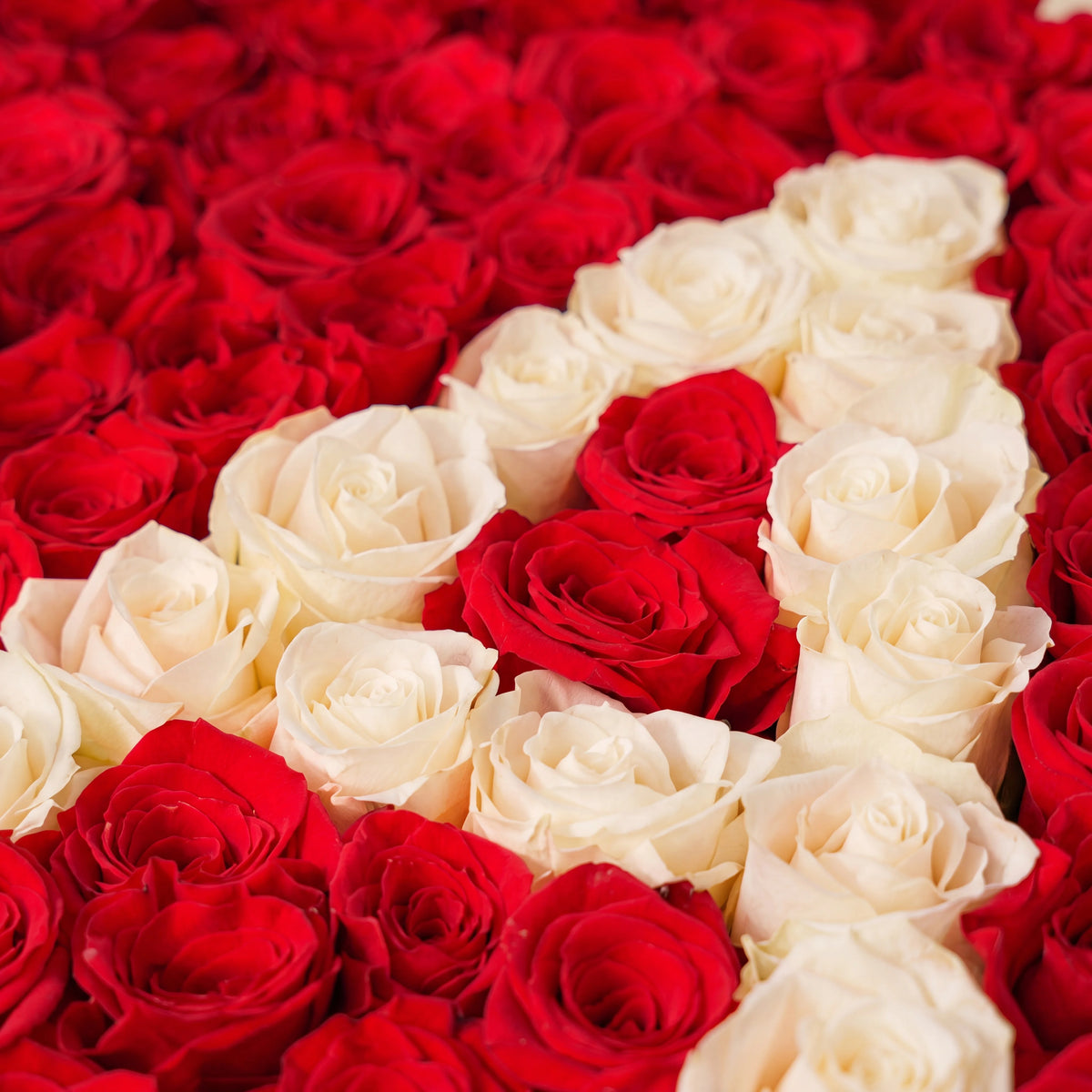Red Letter Heart