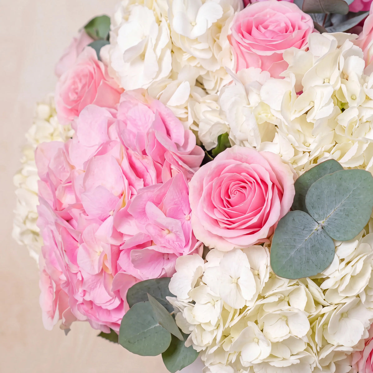 Baby Heavenly Pinks  Hatbox