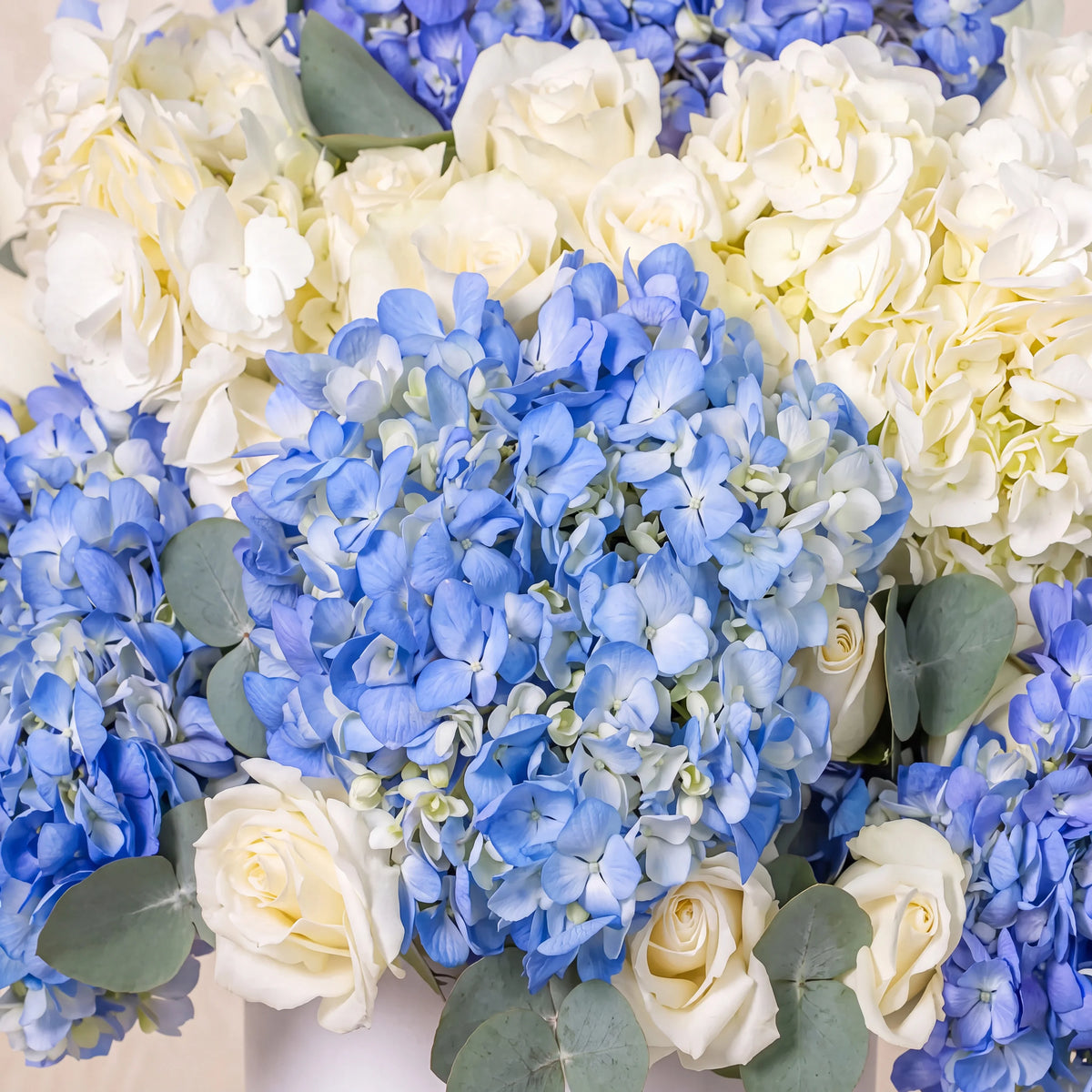 Baby Heavenly Blues Hatbox