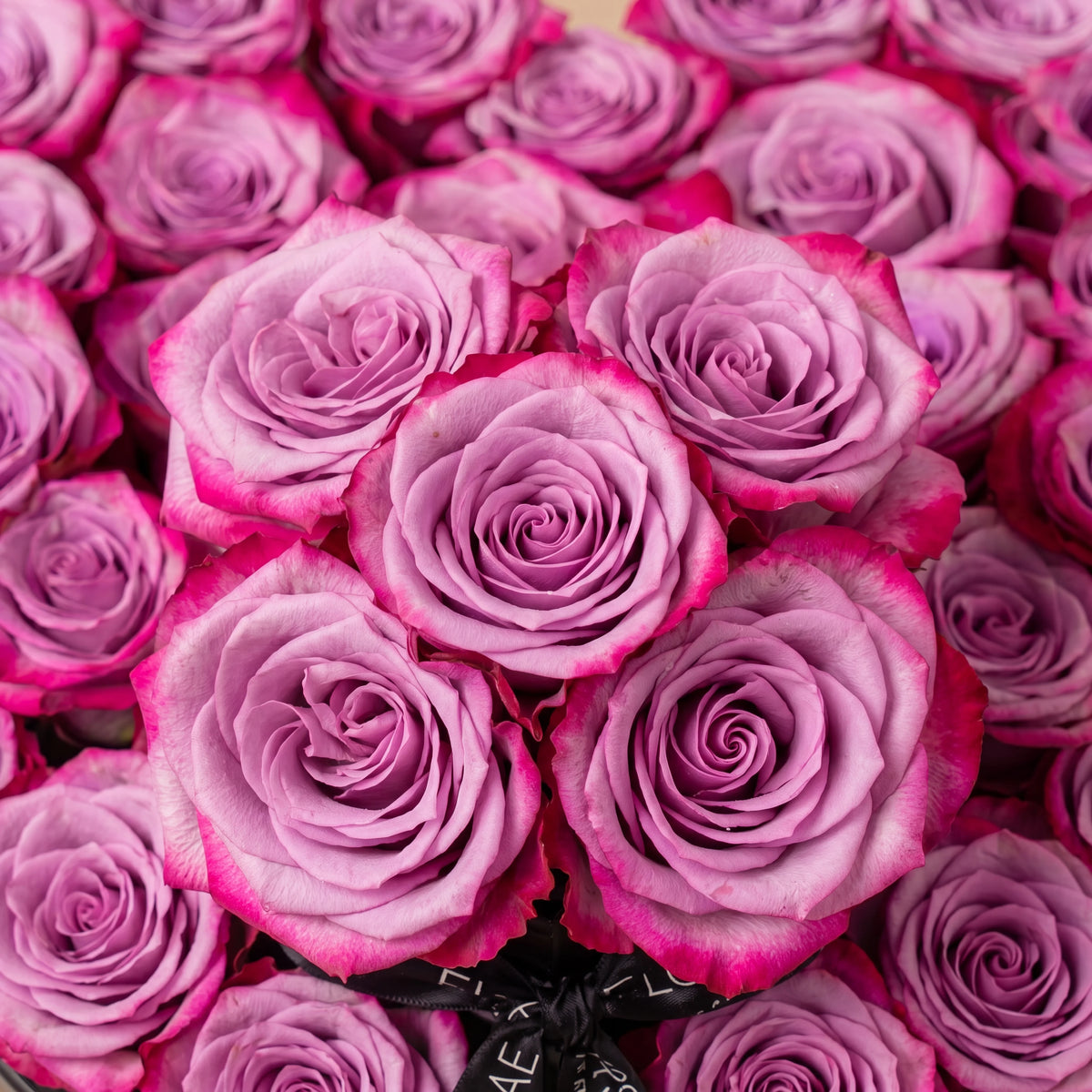 Purple Heart