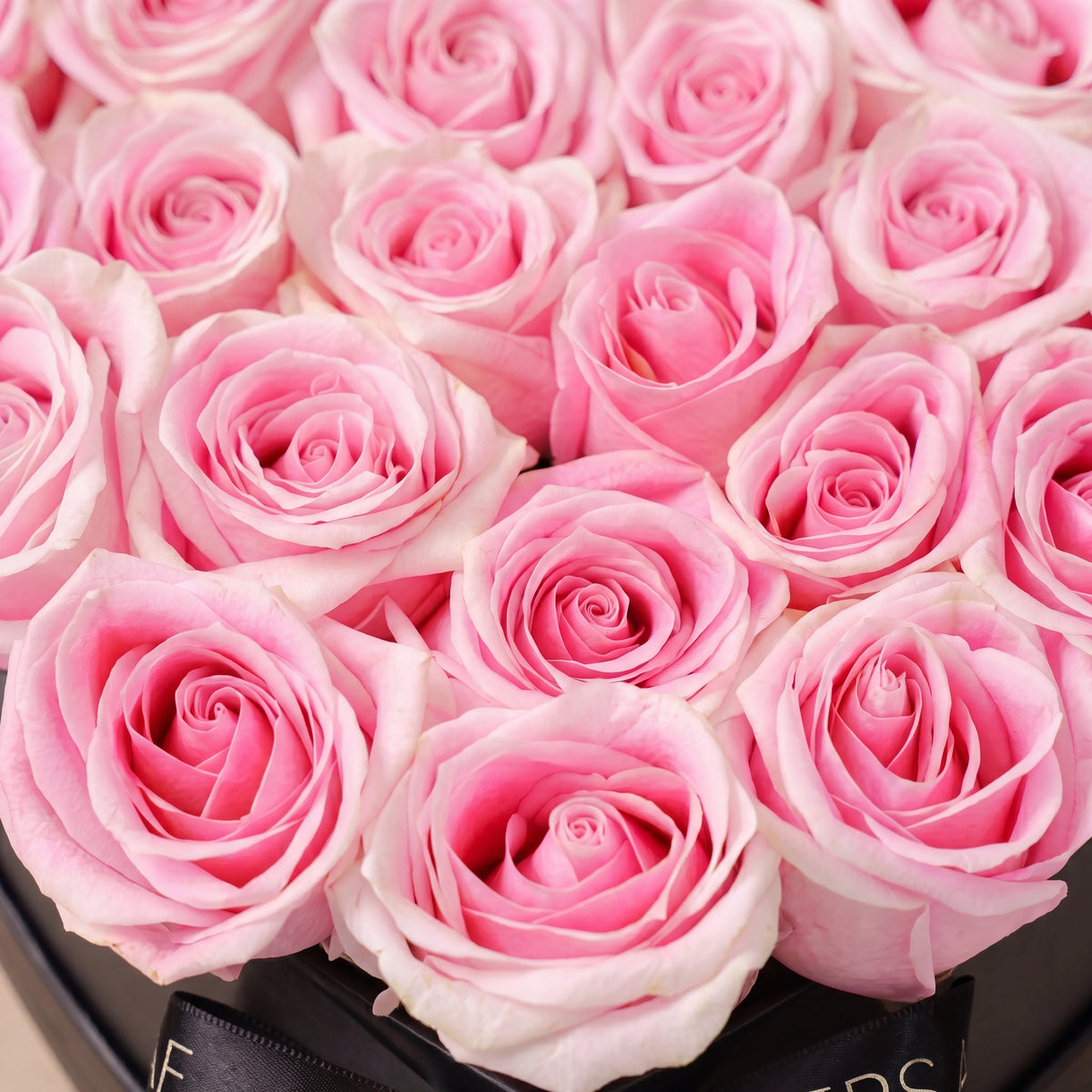 Anniversary Pink Heart