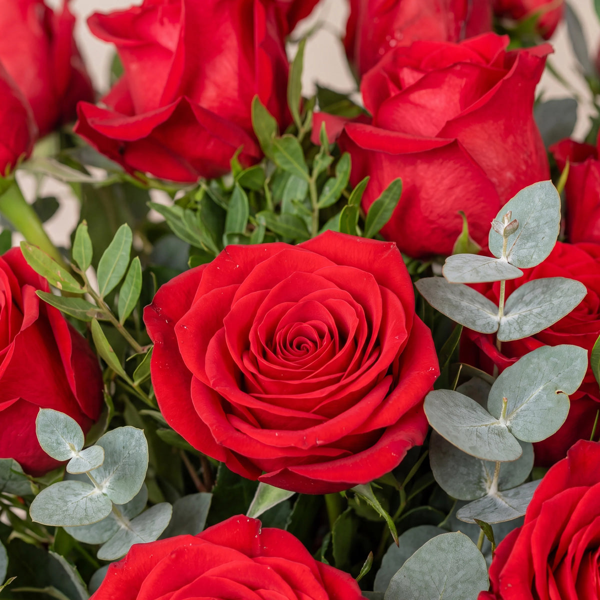 200 Red Roses Vase