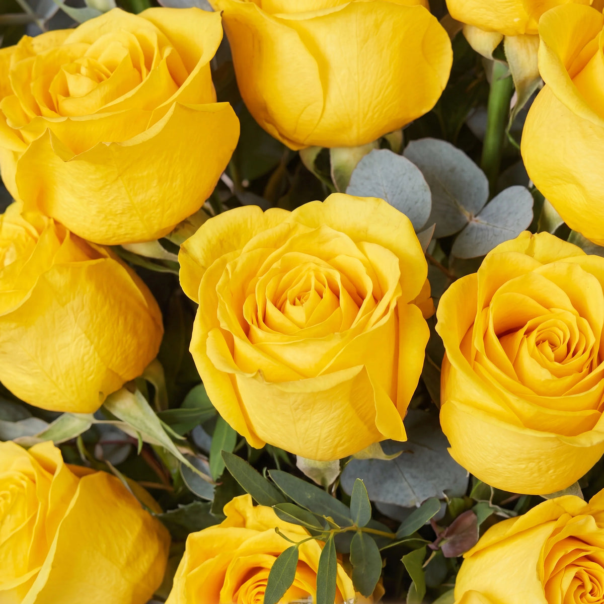 25 Yellow Roses Vase