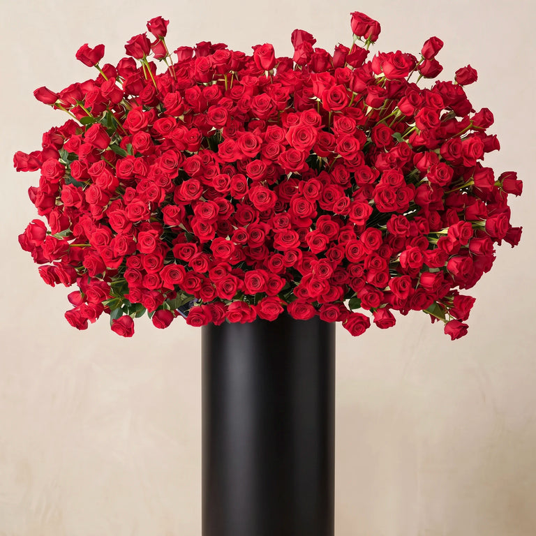 999 Red Roses Stand