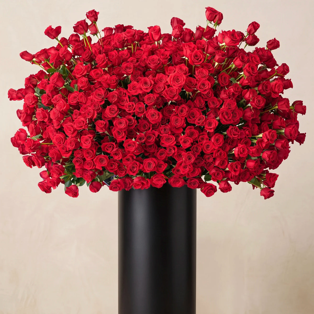999 Red Roses Stand