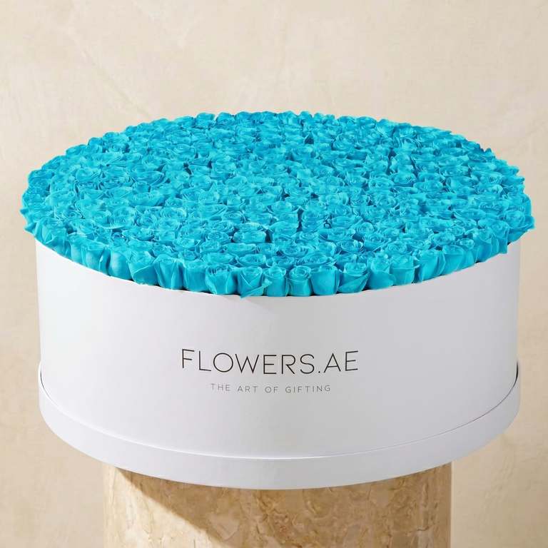 Father's Day 500 Tiffany Blue Roses XXXL