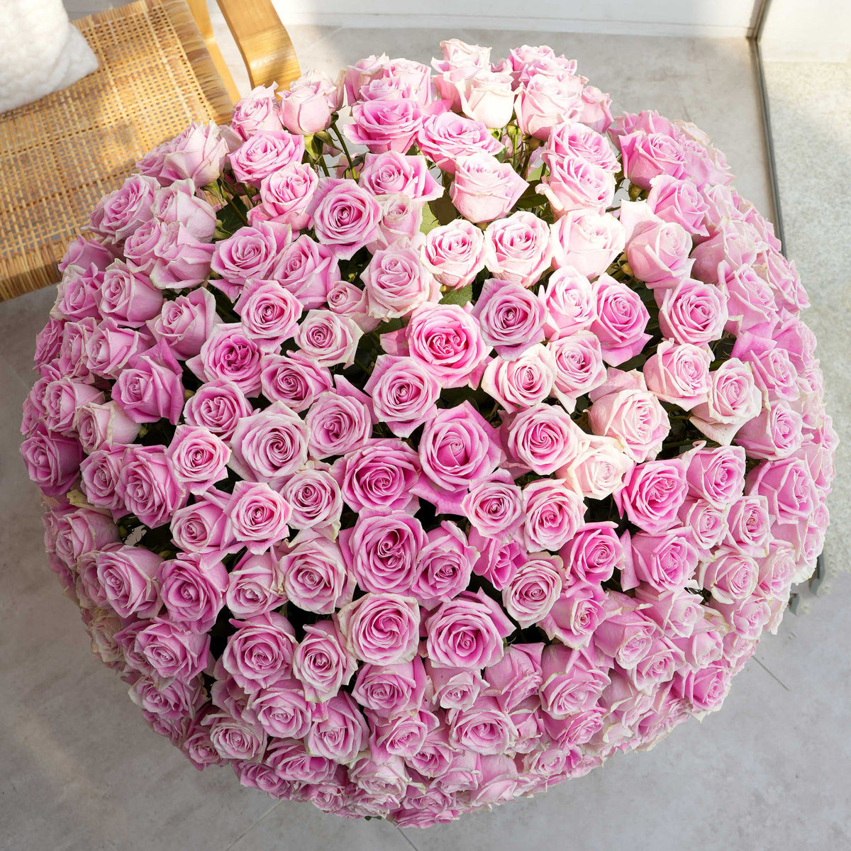 365 Pink Roses - Box
