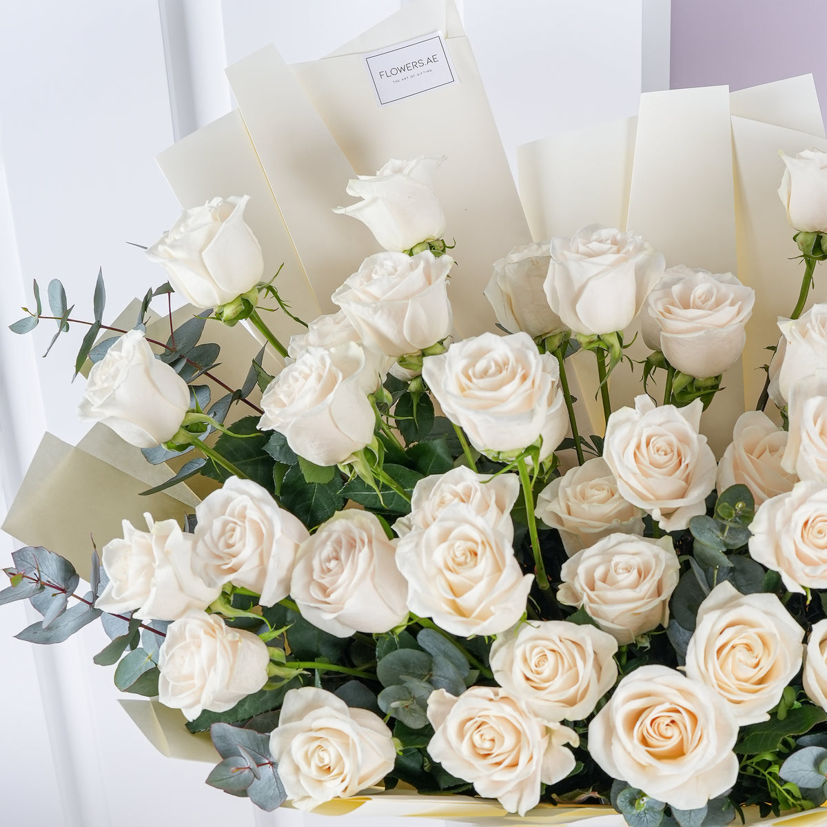 50 White Roses