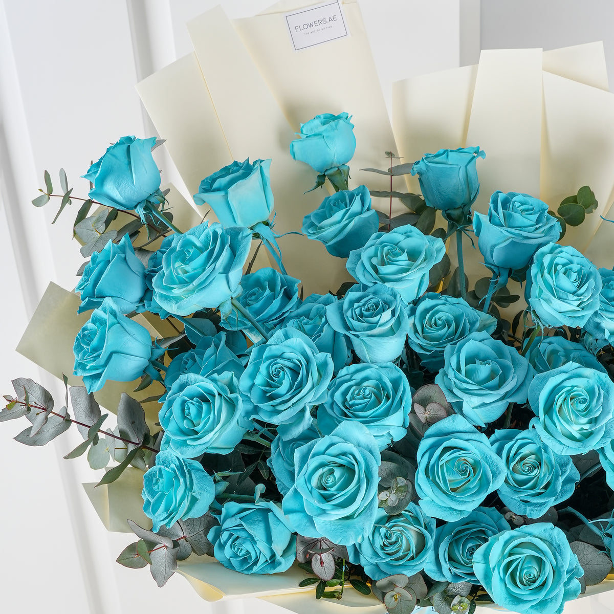 50 Tiffany Blue Roses