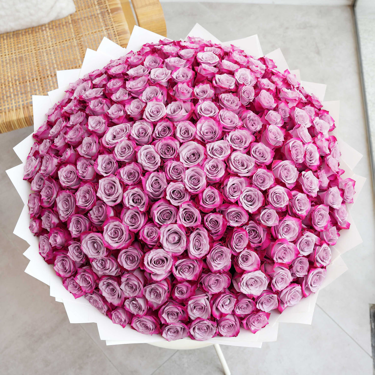 200 Purple Roses