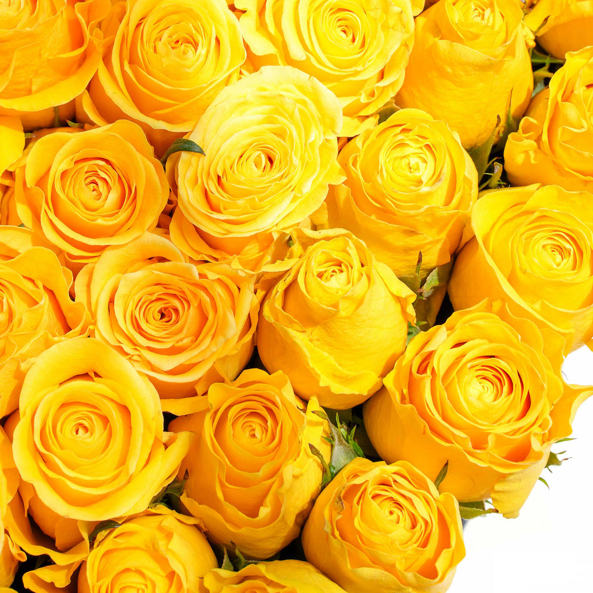 Yellow Heart