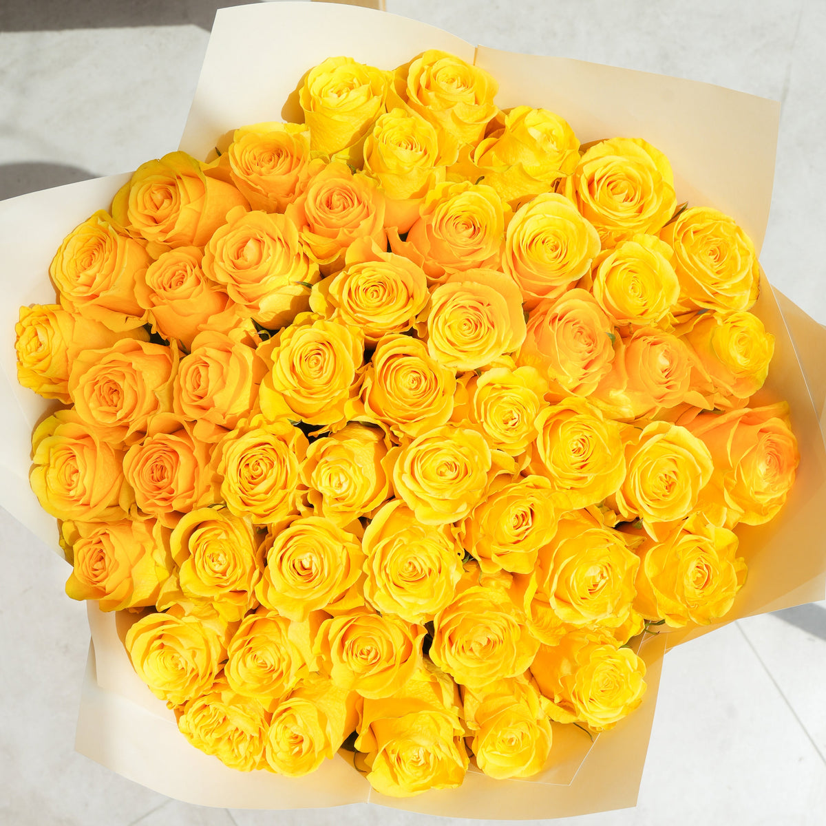 Birthday 50 Yellow Roses