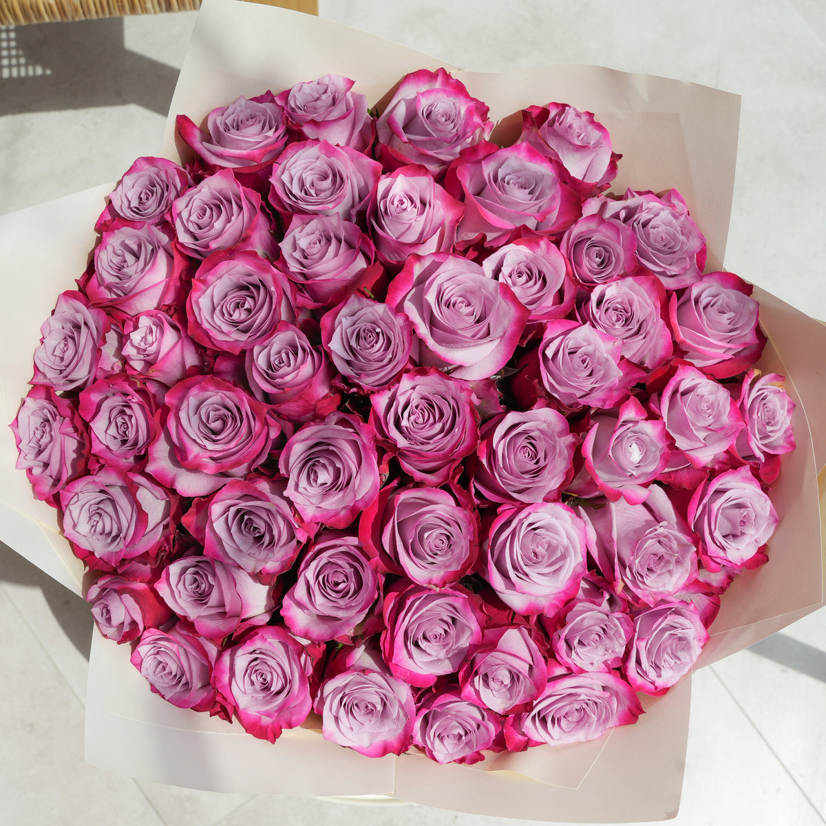 50 Purple Roses