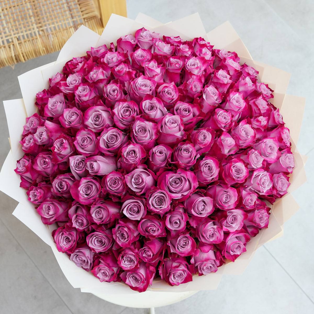 100 Purple Rose