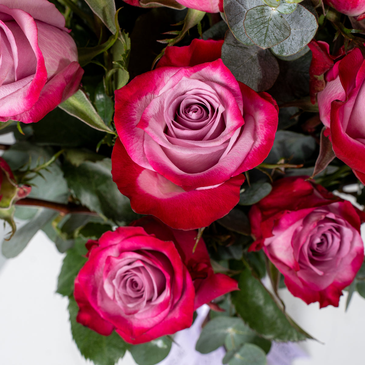 Valentine 100 Purple Roses Vase