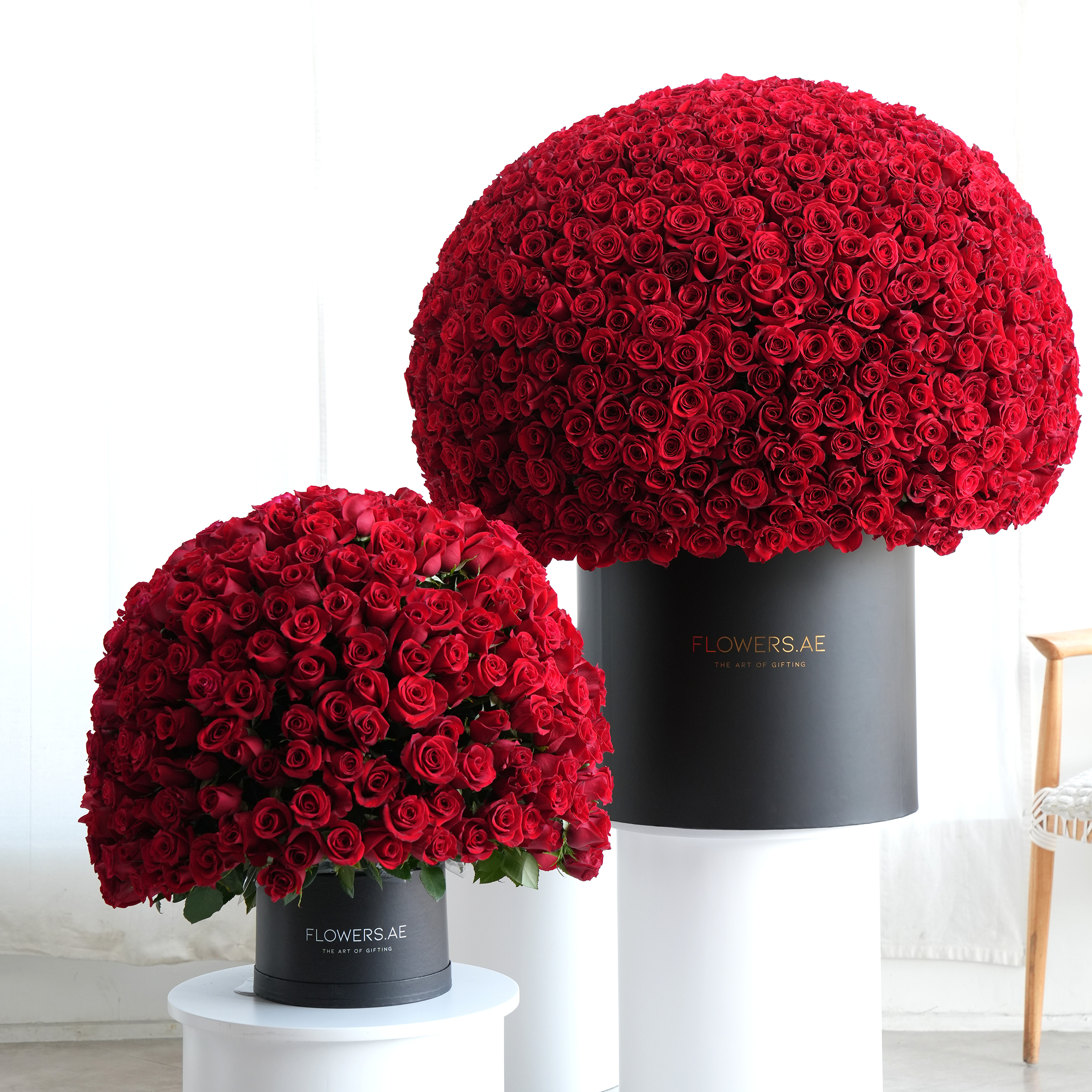 Hatbox Collection