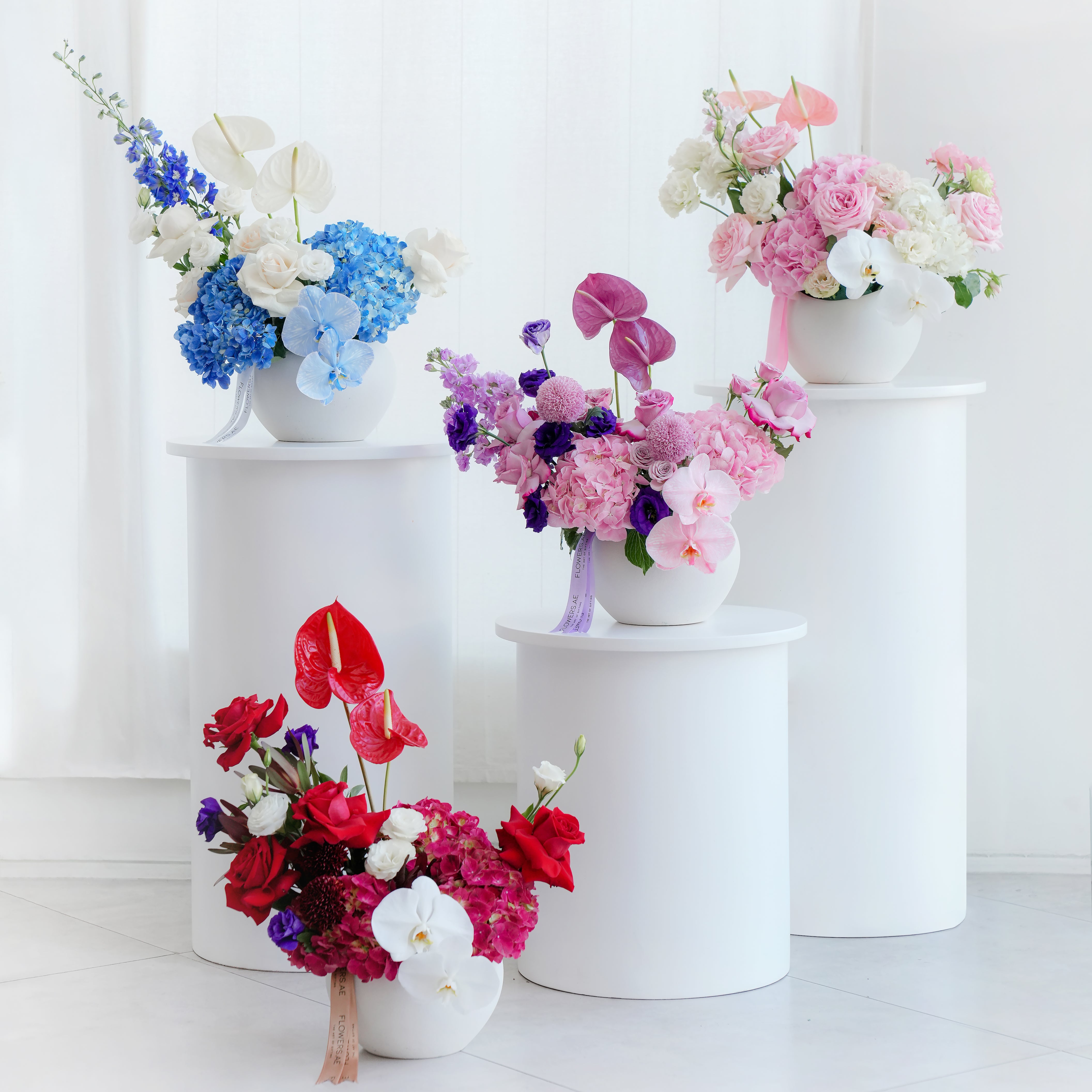 Vase Collection