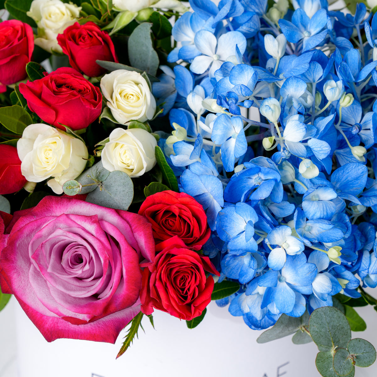 Petite Blue Florence Hatbox